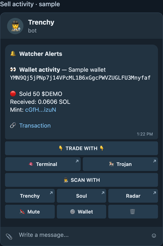 Illustrative opt-in sell-activity alert with a fake wallet, sample token amount, SOL received, transaction link, and alert controls.