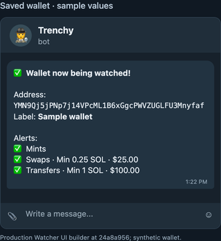 Illustrative Wallet now being watched confirmation showing a fake wallet address, label, and enabled alerts without action buttons.