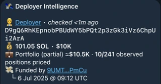 Deployer overview with address, checked time, SOL balance, partial portfolio value, priced-position coverage, and funding.