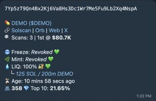 Example token header with mint, name, links, scan count, revoked authorities, liquidity, age, and holders.